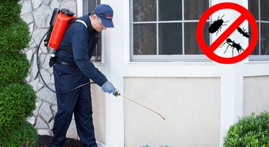 Esenyurt Dezenfeksiyon böcek ilaçlama ve haşere kontrolü — ilaclama-tr.com